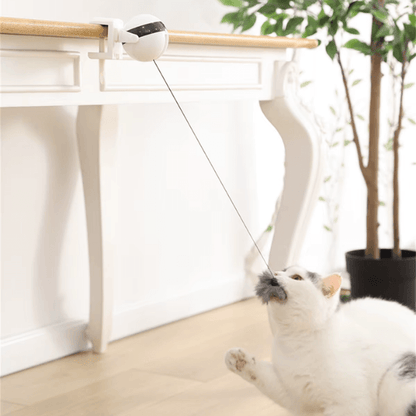 FRAMI Jagdfieber - Katzenspielzeug