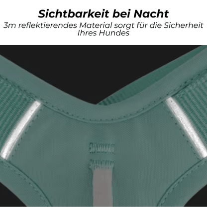 FRAMI ShineGuard - Hundegeschirr