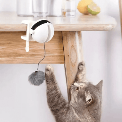 FRAMI Jagdfieber - Katzenspielzeug