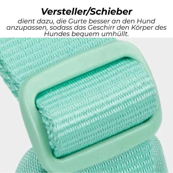 FRAMI ShineGuard - Hundegeschirr