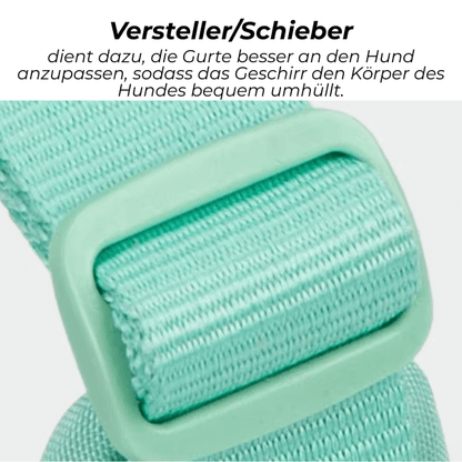 FRAMI ShineGuard - Hundegeschirr