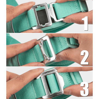 FRAMI ShineGuard - Hundegeschirr