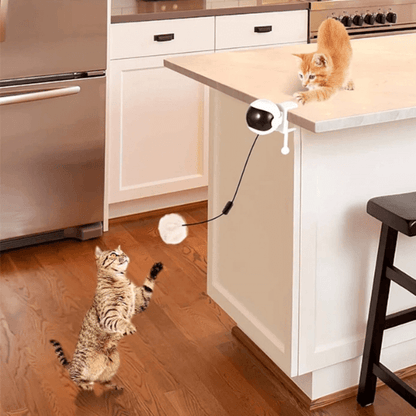 FRAMI Jagdfieber - Katzenspielzeug