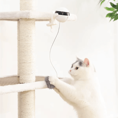 FRAMI Jagdfieber - Katzenspielzeug