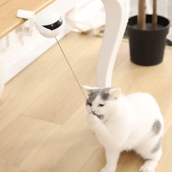 FRAMI Jagdfieber - Katzenspielzeug