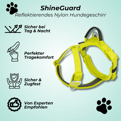 FRAMI ShineGuard - Hundegeschirr