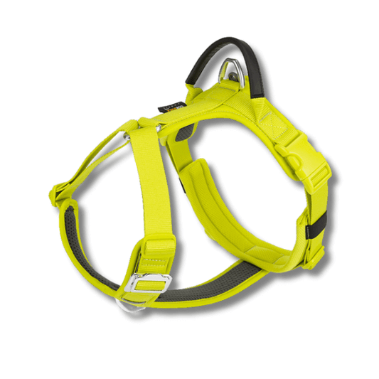 FRAMI ShineGuard - Hundegeschirr