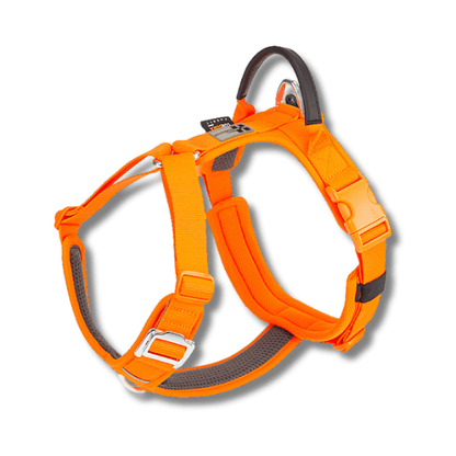 FRAMI ShineGuard - Hundegeschirr