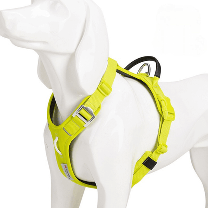 FRAMI ShineGuard - Hundegeschirr