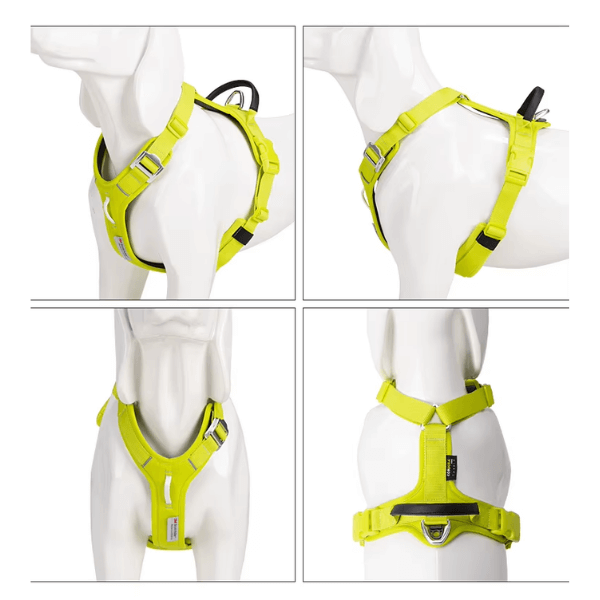 FRAMI ShineGuard - Hundegeschirr