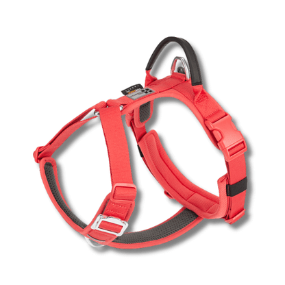 FRAMI ShineGuard - Hundegeschirr