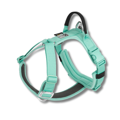 FRAMI ShineGuard - Hundegeschirr