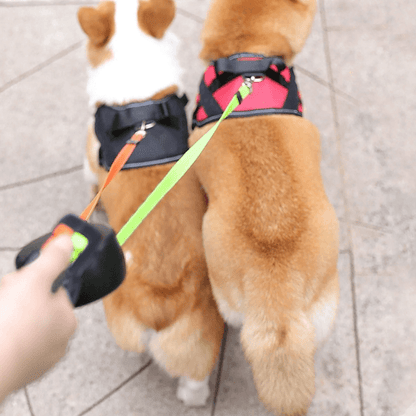 FRAMI Levino – Doppelleine für Hunde