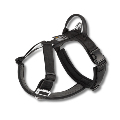 FRAMI ShineGuard - Hundegeschirr