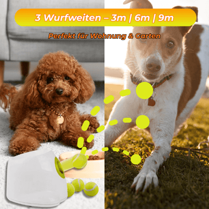 FRAMI BuddyBlaster – Der Tennis Launcher