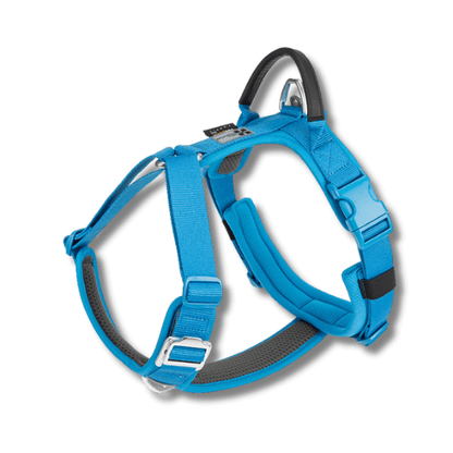 FRAMI ShineGuard - Hundegeschirr