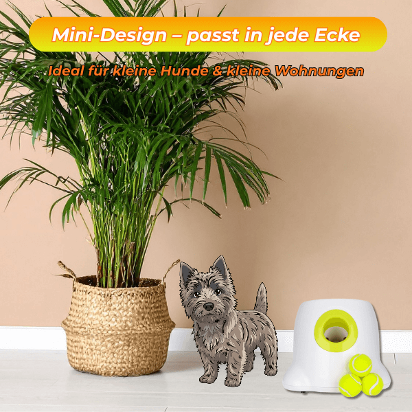 FRAMI BuddyBlaster – Der Tennis Launcher