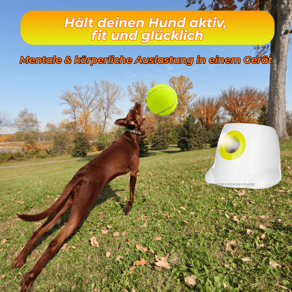 FRAMI BuddyBlaster – Der Tennis Launcher