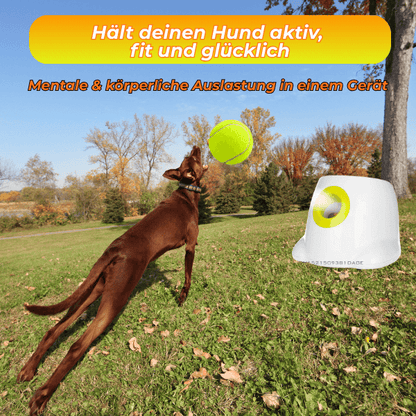 FRAMI BuddyBlaster – Der Tennis Launcher