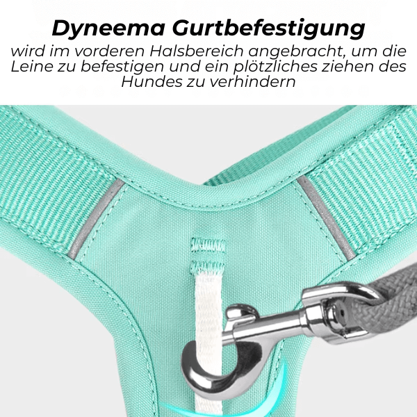 FRAMI ShineGuard - Hundegeschirr