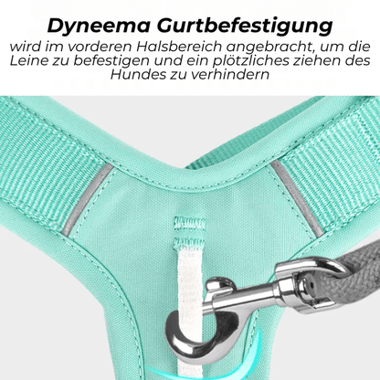 FRAMI ShineGuard - Hundegeschirr