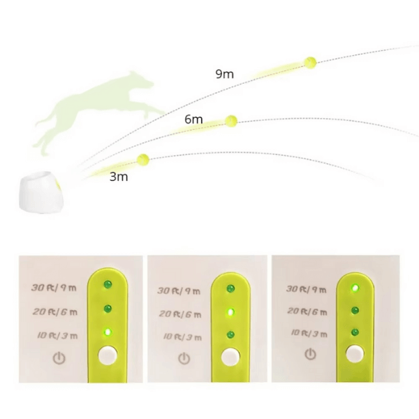 FRAMI BuddyBlaster – Der Tennis Launcher