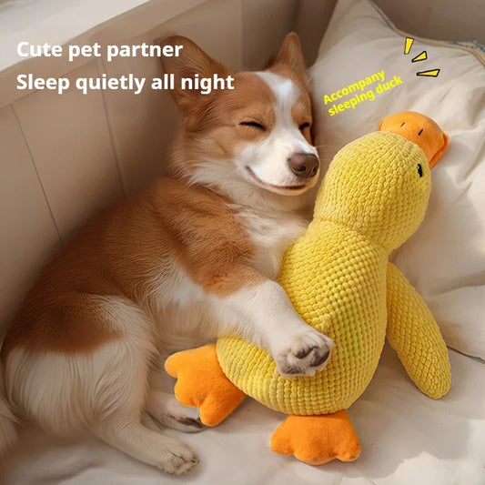 Dog-sleeping duck